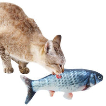 Load image into Gallery viewer, Pet Chew Toy Bite-resistant Electric Movable Fish Tail Cat Bite Toy Catnip Toy